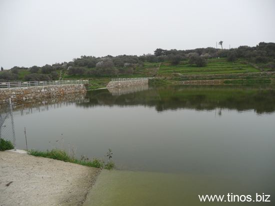 fragma_2010 013